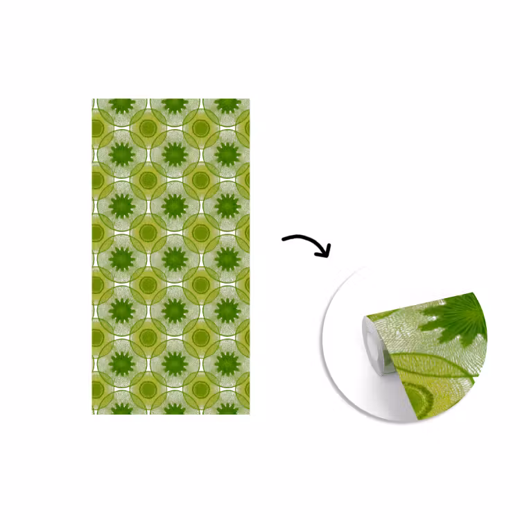 Behang - Cirkels - Patroon - Groen — 1