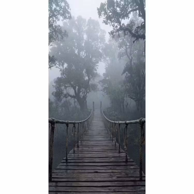 Behang - Brug - Jungle - Mist - Natuur — 2