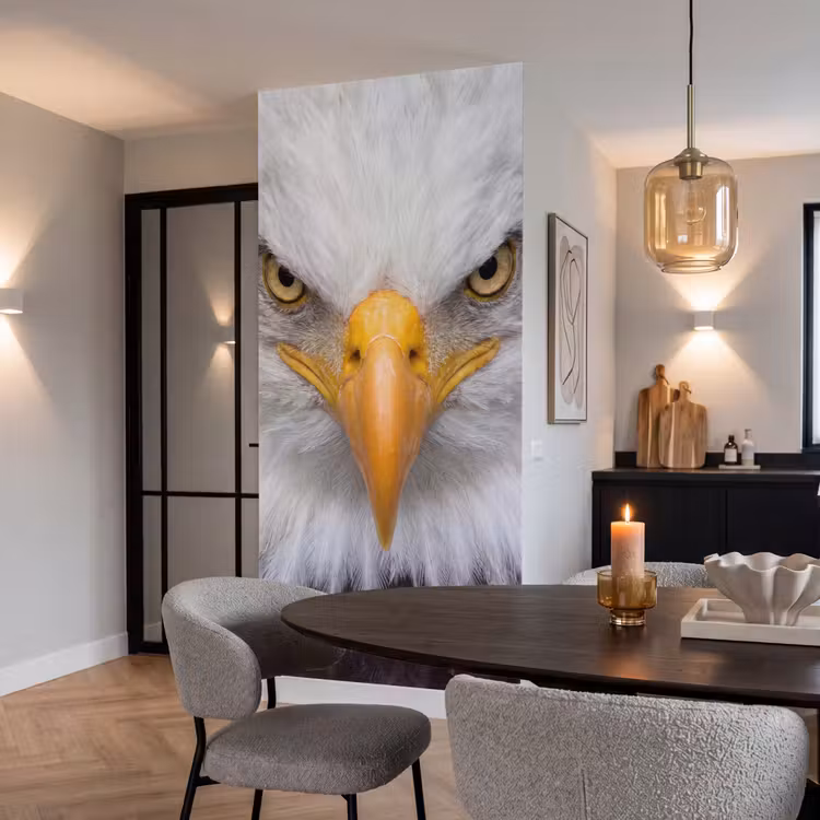 Behang - Amerikaans - Zeearend - Portret - Geel — 5