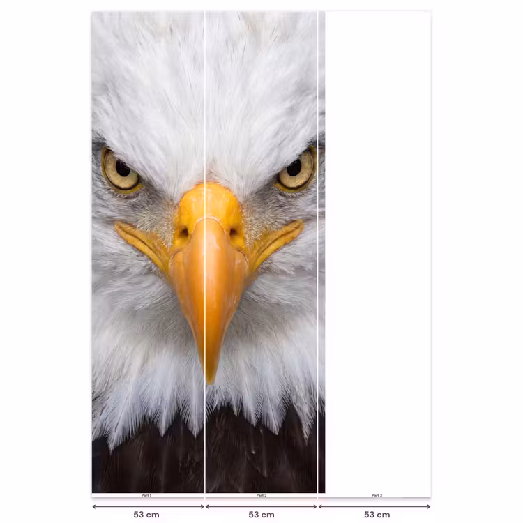 Behang - Amerikaans - Zeearend - Portret - Geel — 6