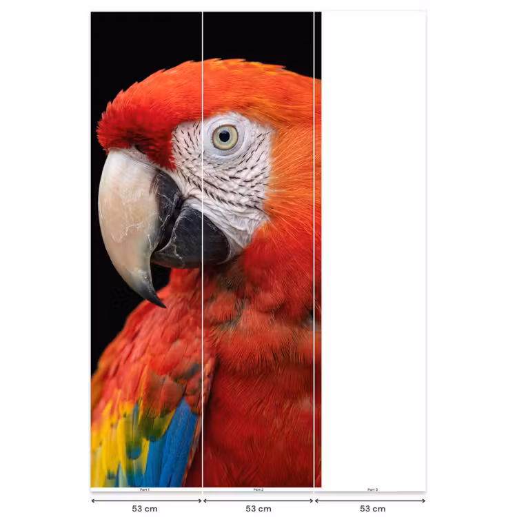 Behang - Ara - Portret - Rood — 6