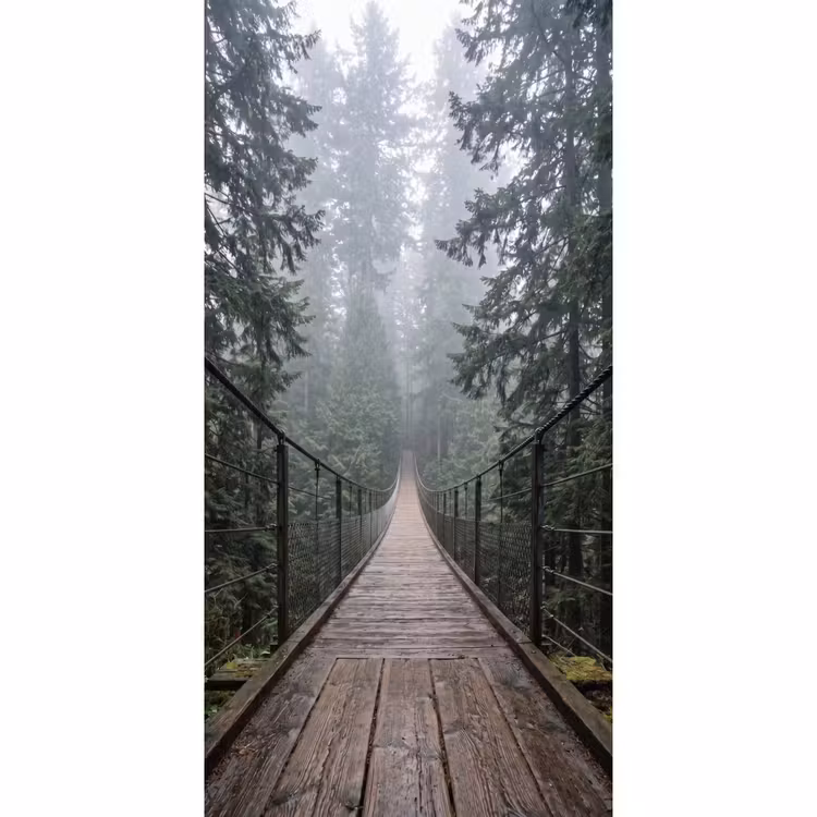 Behang - Brug - Bos - Mist - Natuur — 2