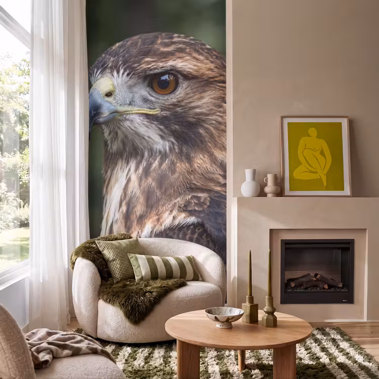 Behang - Buizerd - Roofvogel - Natuur - Bruin — 1
