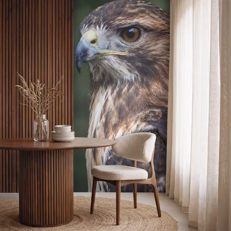 Behang - Buizerd - Roofvogel - Natuur - Bruin — 4