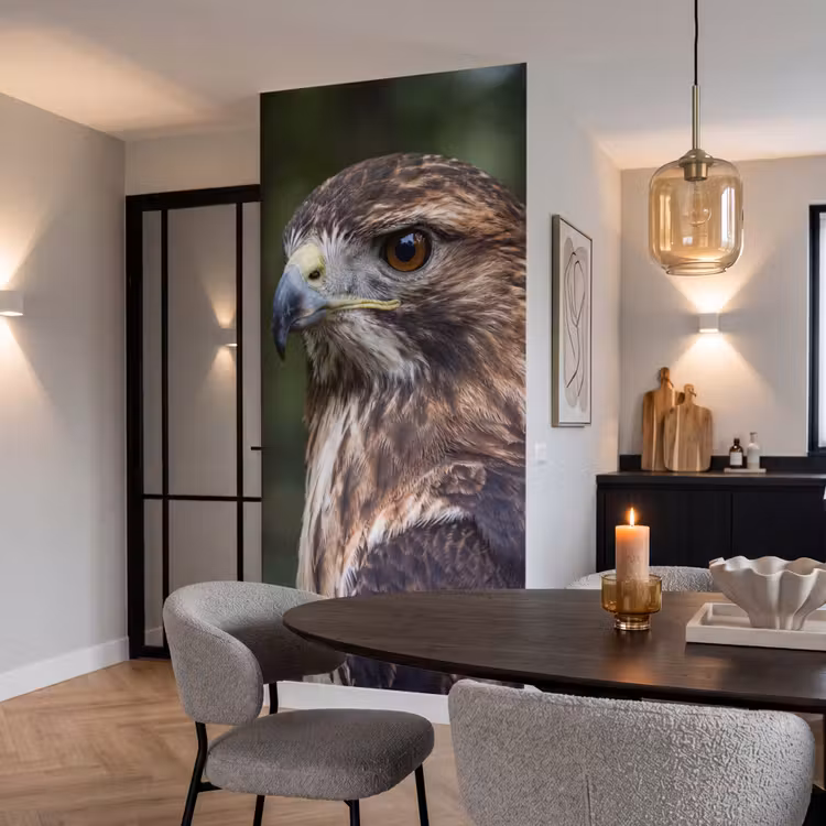 Behang - Buizerd - Roofvogel - Natuur - Bruin — 5