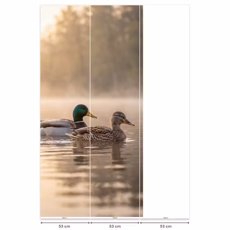 Behang - Eenden - Water - Mist - Natuur — 6