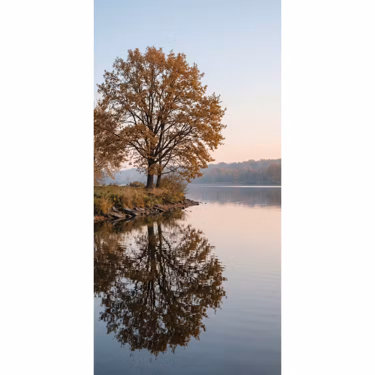 Behang - Bomen - Reflectie - Water - Zonsopgang - Serene — 2