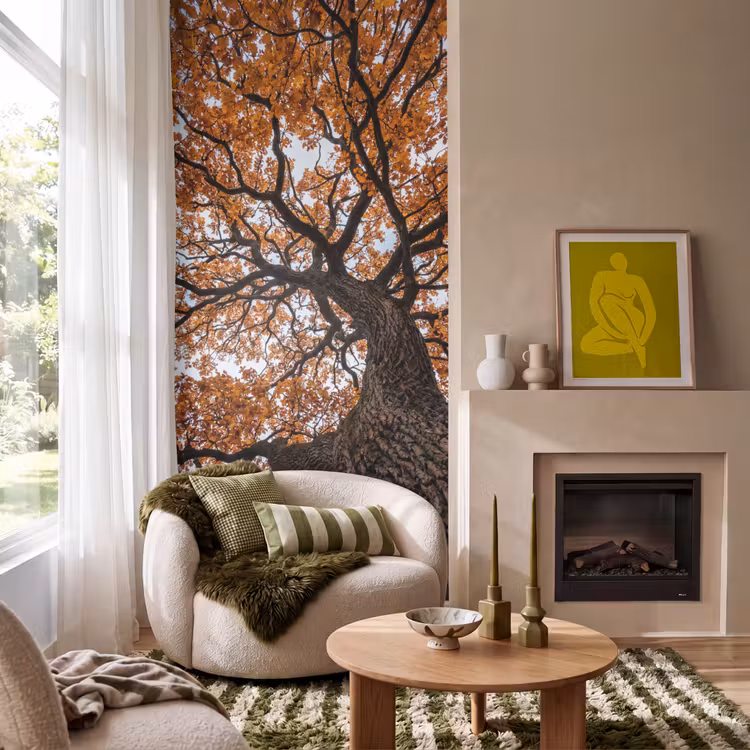 Behang - Boom - Bladerdak - Herfst - Oranje - Sfeervol — 1