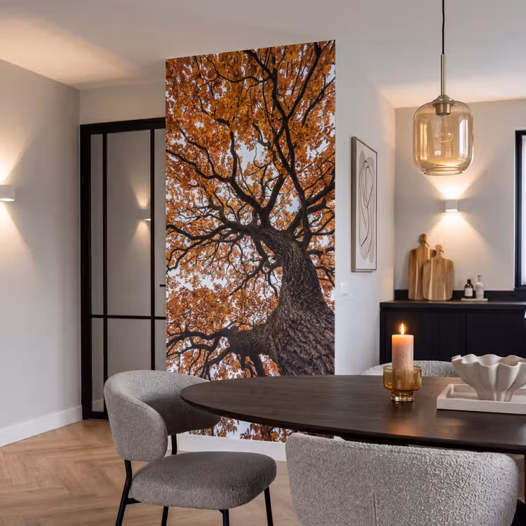 Behang - Boom - Bladerdak - Herfst - Oranje - Sfeervol — 5