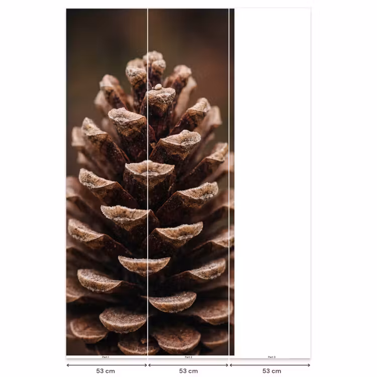 Behang - Dennenappel - Bos - Herfst - Bruin - Sfeervol — 6