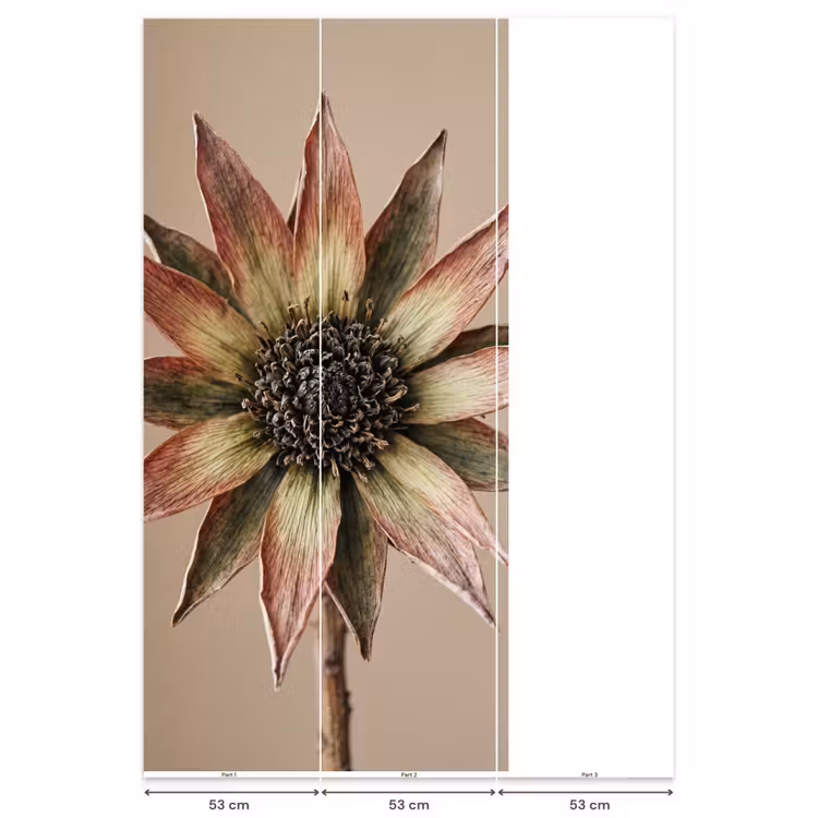 Behang - Droogbloem - Protea - Vintage - Beige - Rustiek — 6