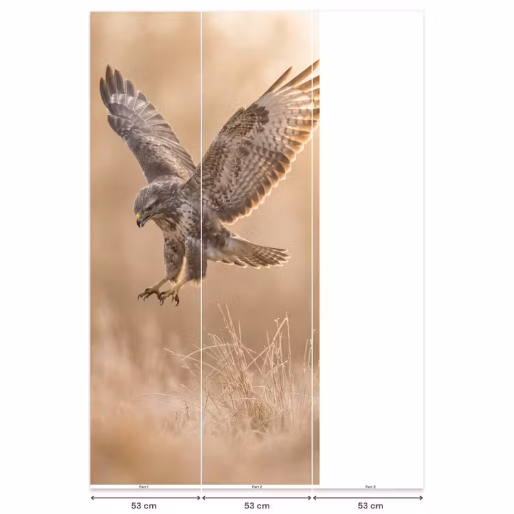 Behang - Buizerd - Roofvogel - Natuur - Bruin — 6