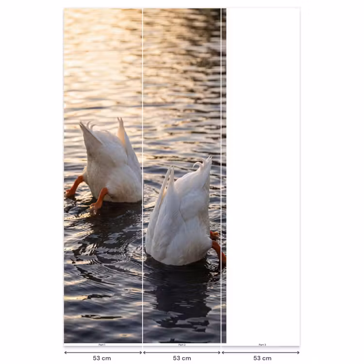Behang - Eenden - Water - Natuur — 6