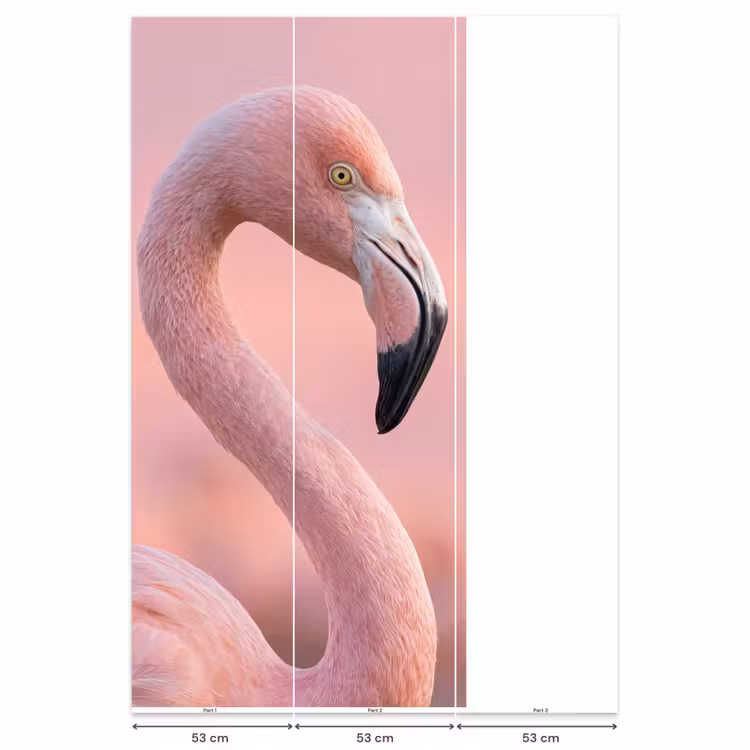 Behang - Flamingo - Portret - Roze — 6