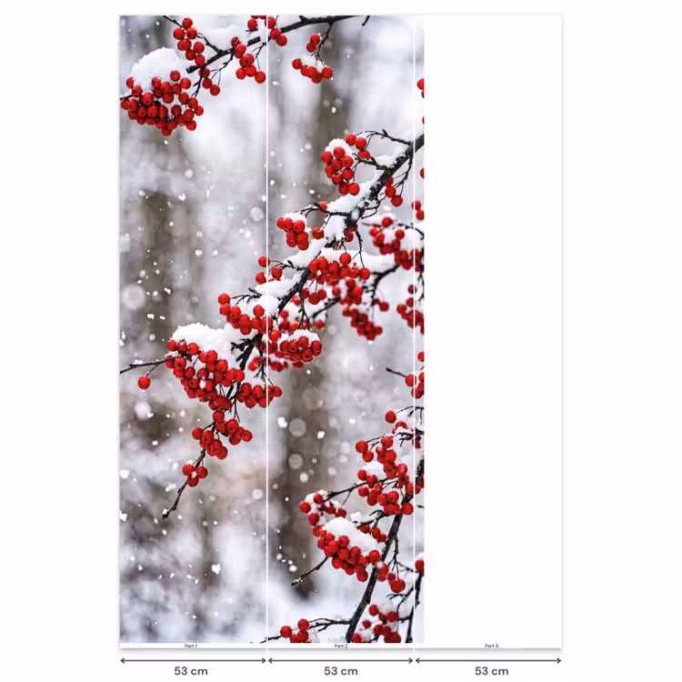 Behang - Bessen - Takken - Sneeuw - Winter - Kleurrijk — 6