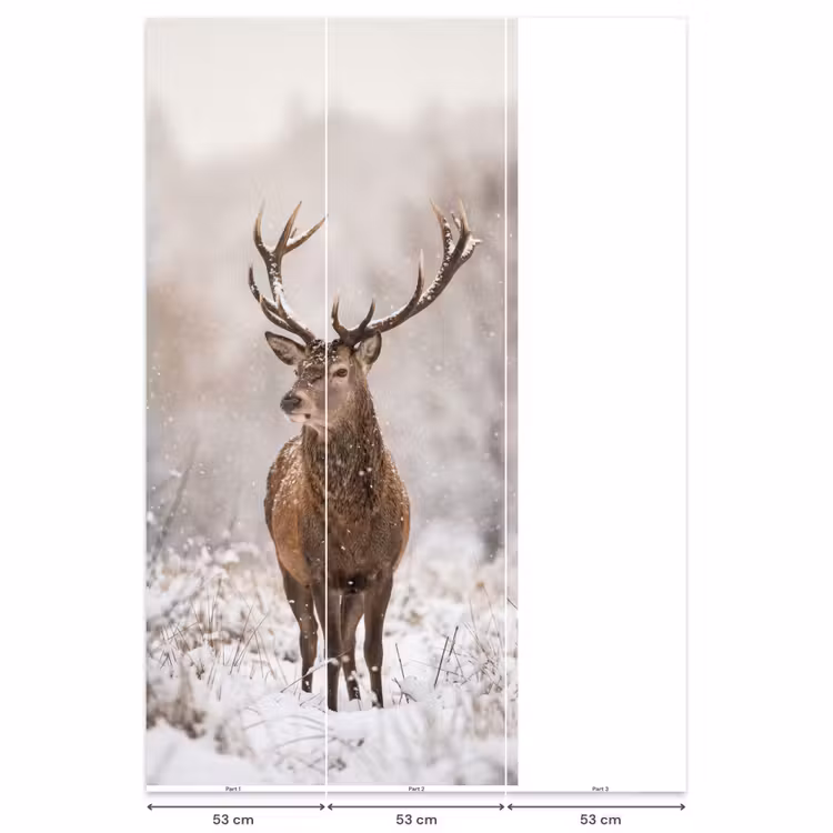 Behang - Edelhert - Bos - Sneeuw - Winter - Majestueus — 6