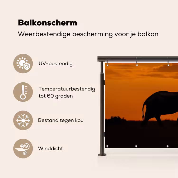 Balkonscherm - Olifanten - Savanne - Zonsondergang — 3