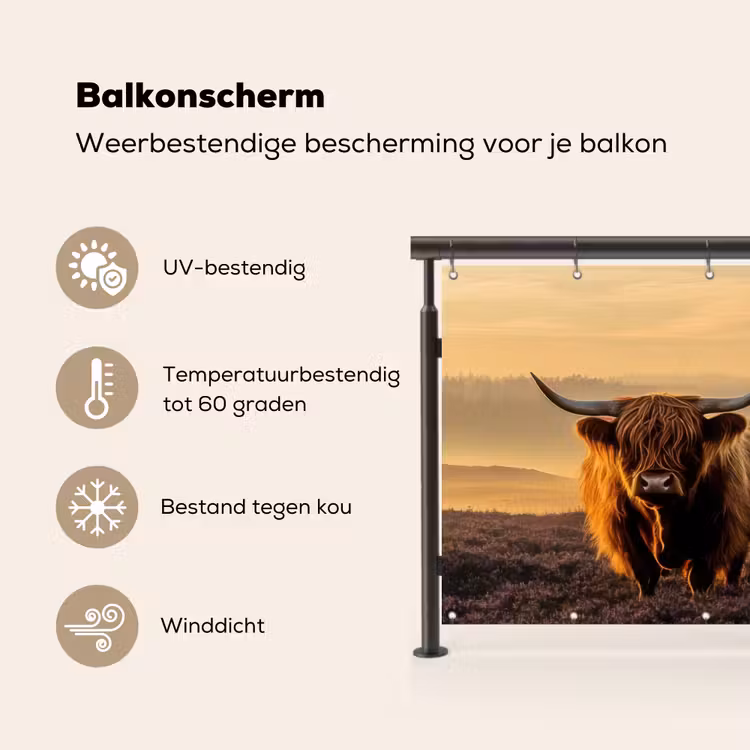 Balkonscherm - Schotse hooglanders - Heide - Landschap - Dieren — 3