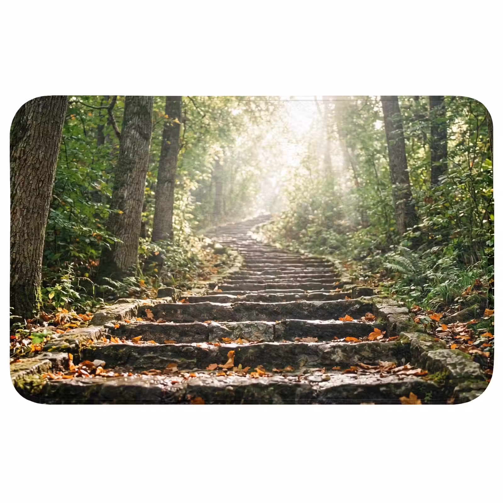Badmat - Stenen - Trap - Bos - Natuur — 1