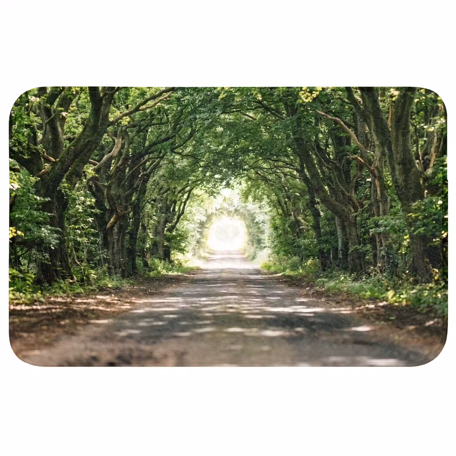 Badmat - Weg - Bomen - Natuur - Groen — 1