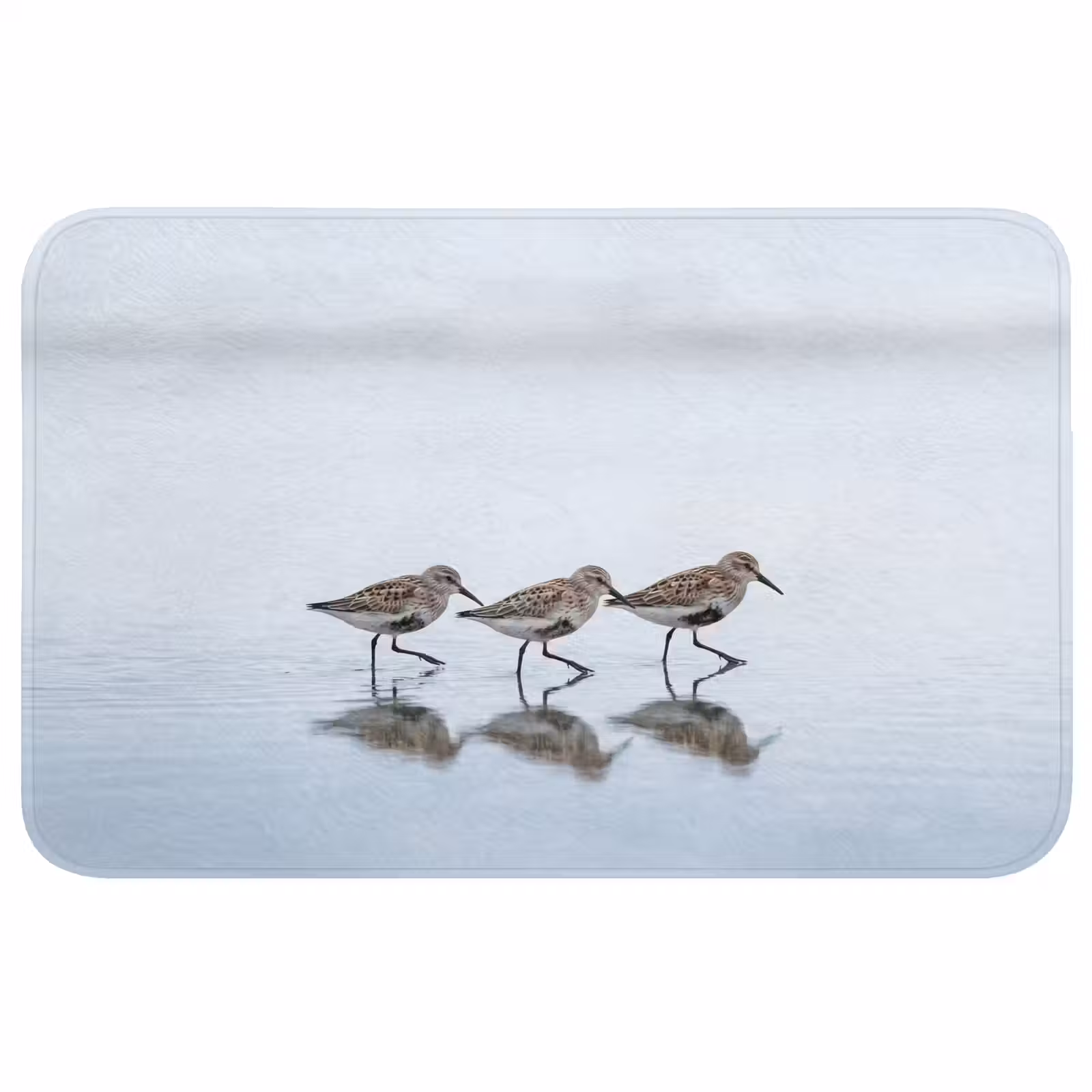 Badmat - Vogels - Water - Grijs — 1