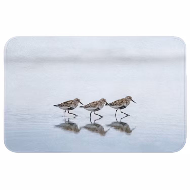 Badmat - Vogels - Water - Grijs — 1