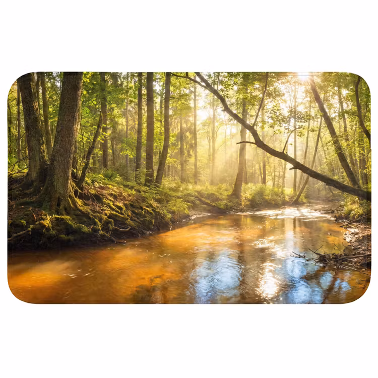 Badmat - Bos - Beek - Zonlicht - Natuur - Groen — 1