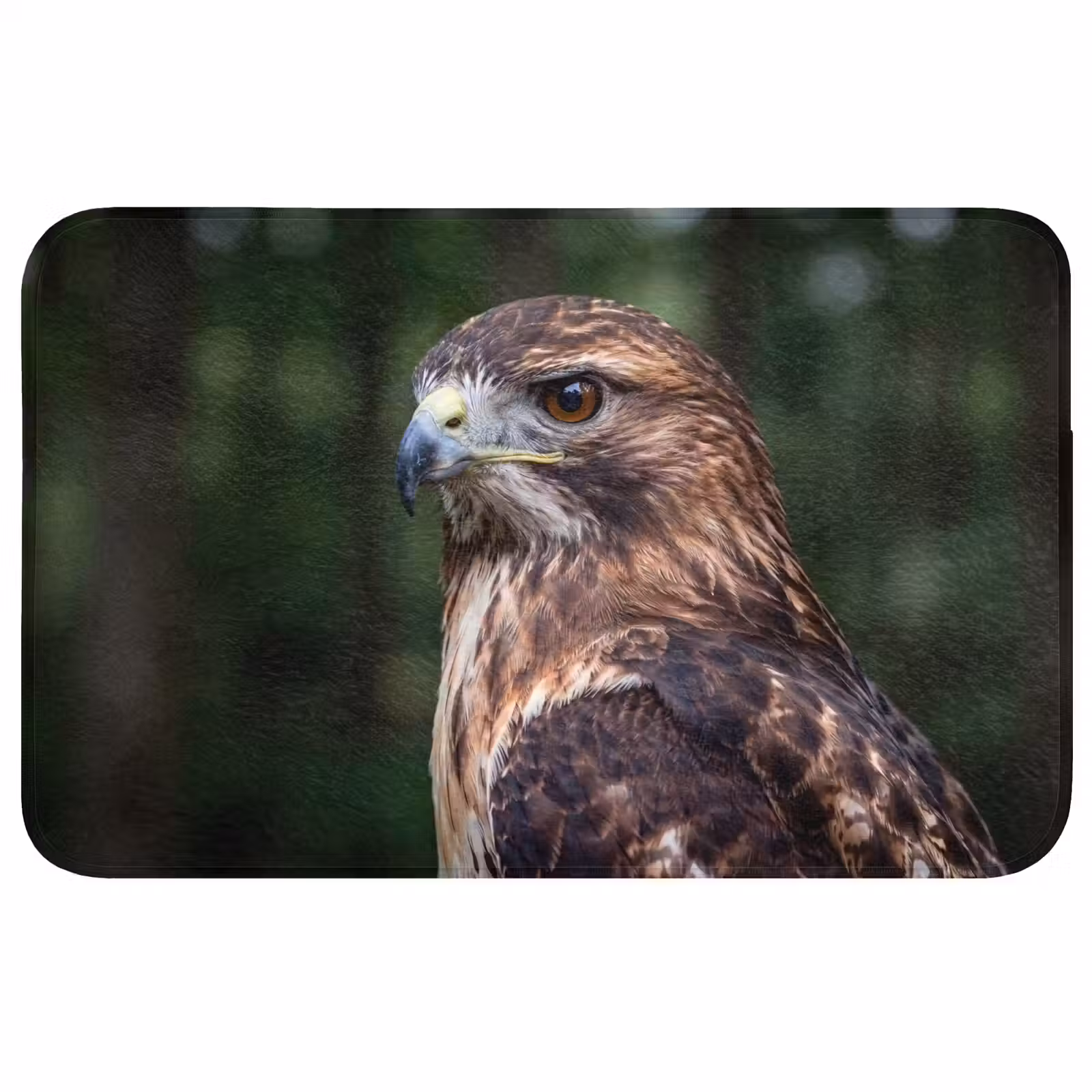 Badmat - Buizerd - Roofvogel - Natuur - Bruin — 1