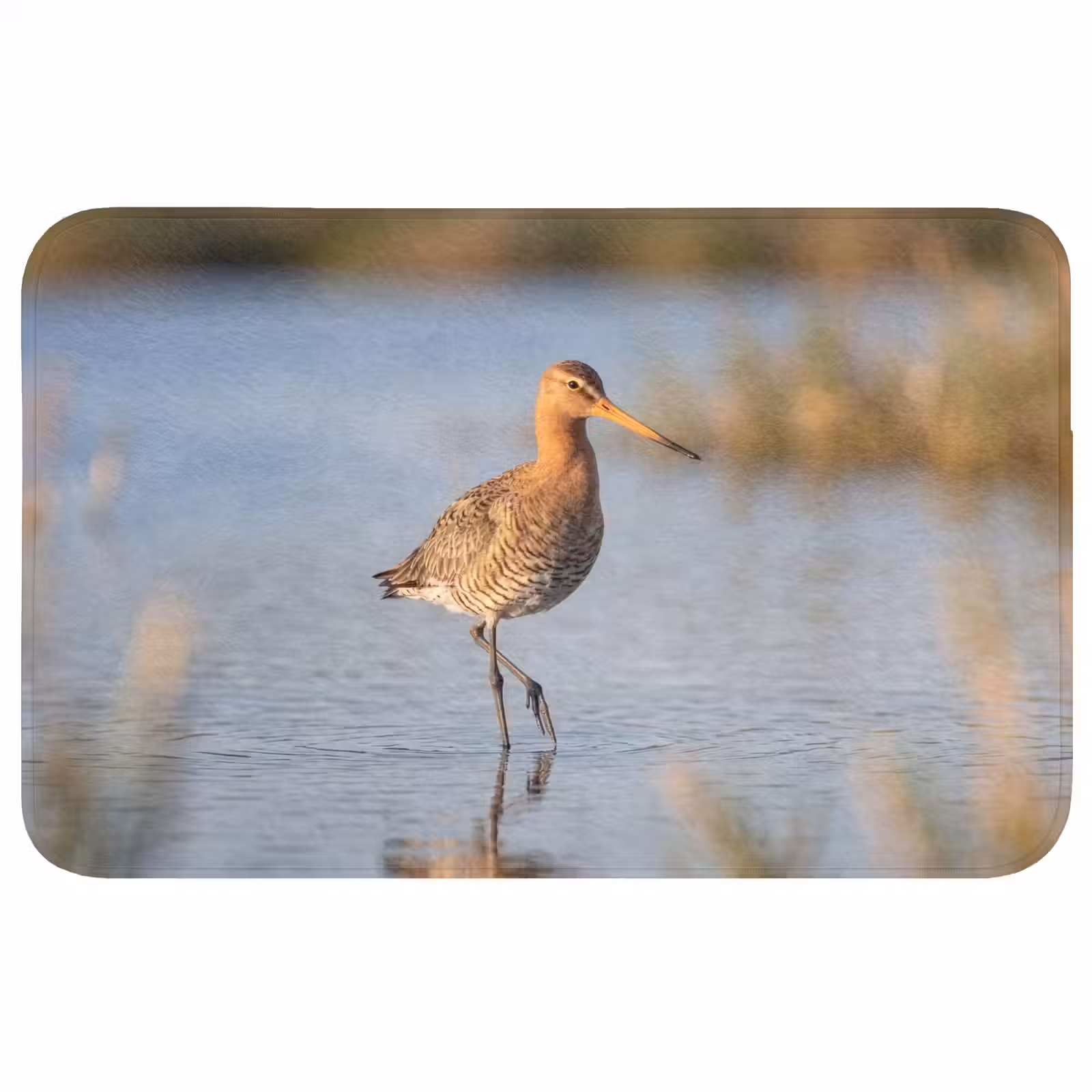 Badmat - Vogel - Steltloper - Water - Natuur — 1