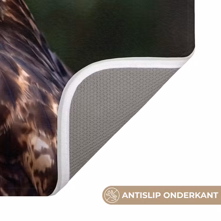 Badmat - Buizerd - Roofvogel - Natuur - Bruin — 3