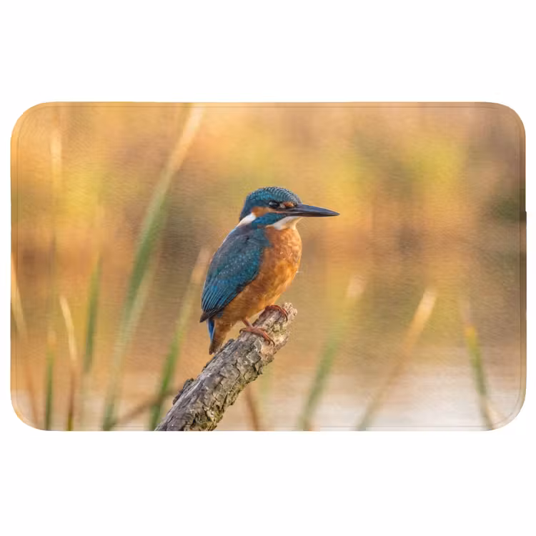 Badmat - IJsvogel - Tak - Water - Kleurrijk - Levendig — 1