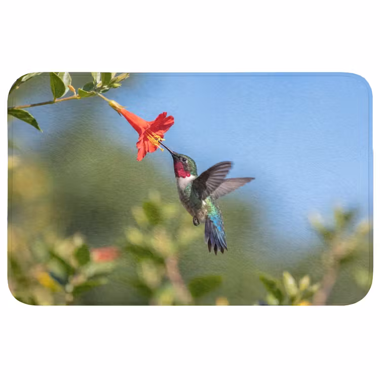 Badmat - Kolibrie - Bloem - Natuur - Groen — 1