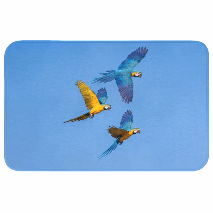 Badmat - Papagaai - Vliegen - Blauw - Geel — 1