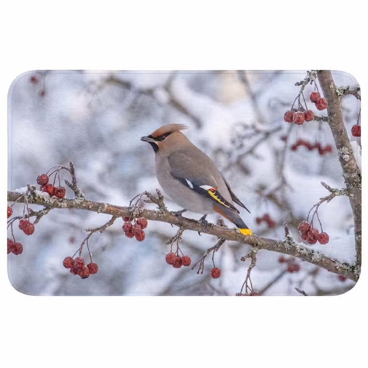 Badmat - Pestvogel - Bessen - Winter - Natuur — 1