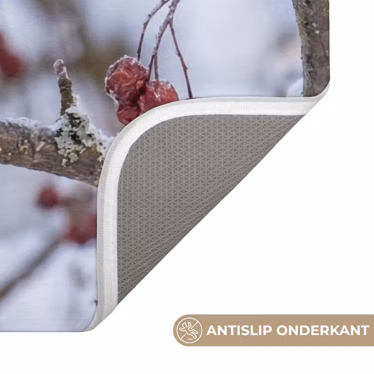 Badmat - Pestvogel - Bessen - Winter - Natuur — 3