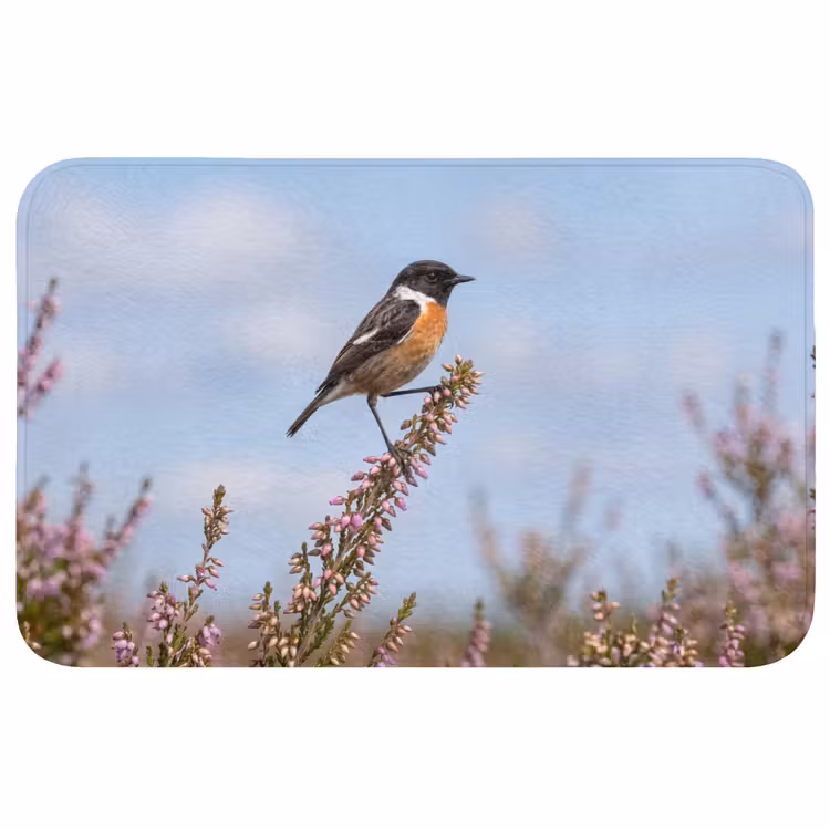 Badmat - Roodborsttapuit - Heide - Paars - Natuur - Sfeervol — 1