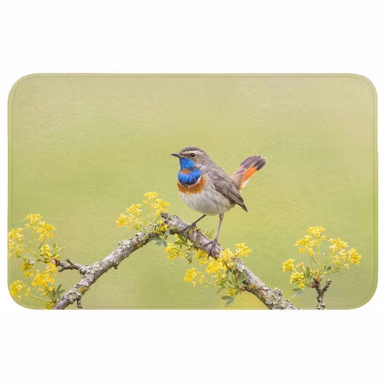Badmat - Vogel - Tak - Natuur - Kleurrijk — 1