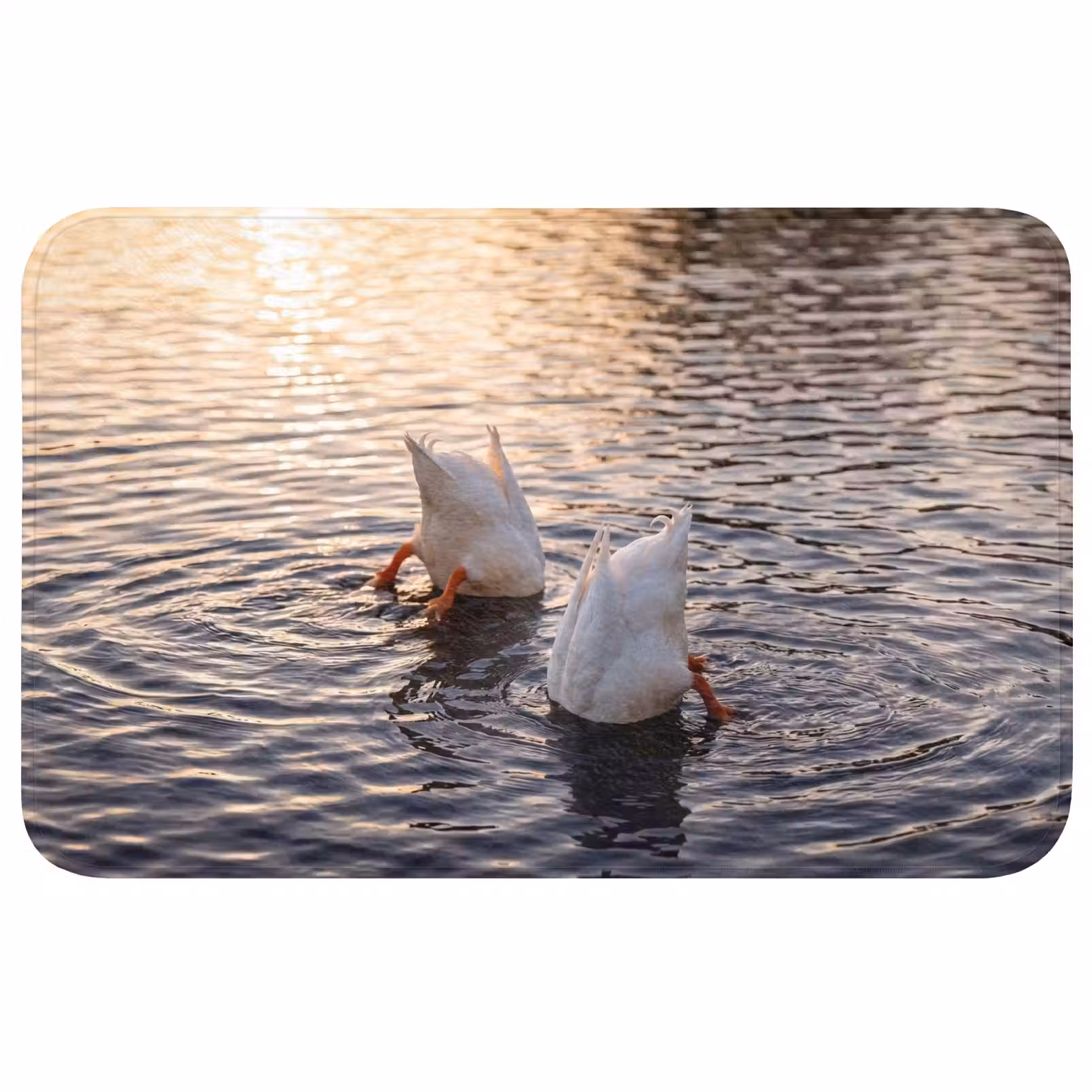 Badmat - Eenden - Water - Natuur — 1