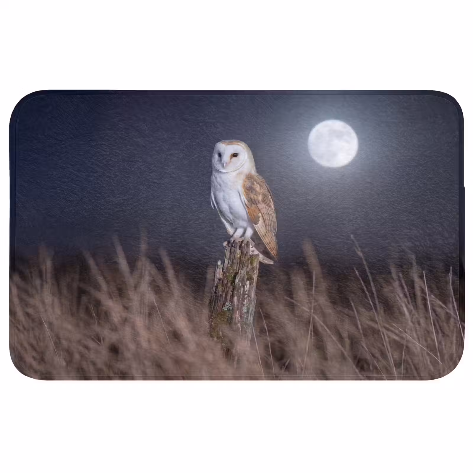 Badmat - Kerkuil - Maan - Nacht — 1