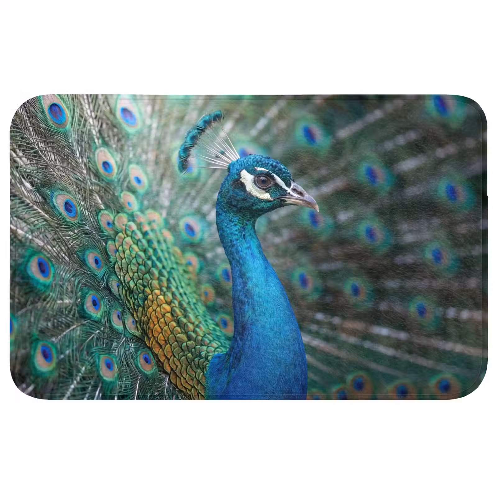 Badmat - Pauw - Veren - Blauw — 1