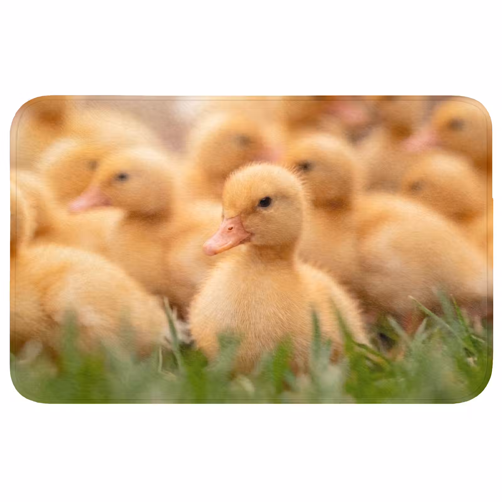 Badmat - Pijltje - Eend - Natuur - Geel — 1