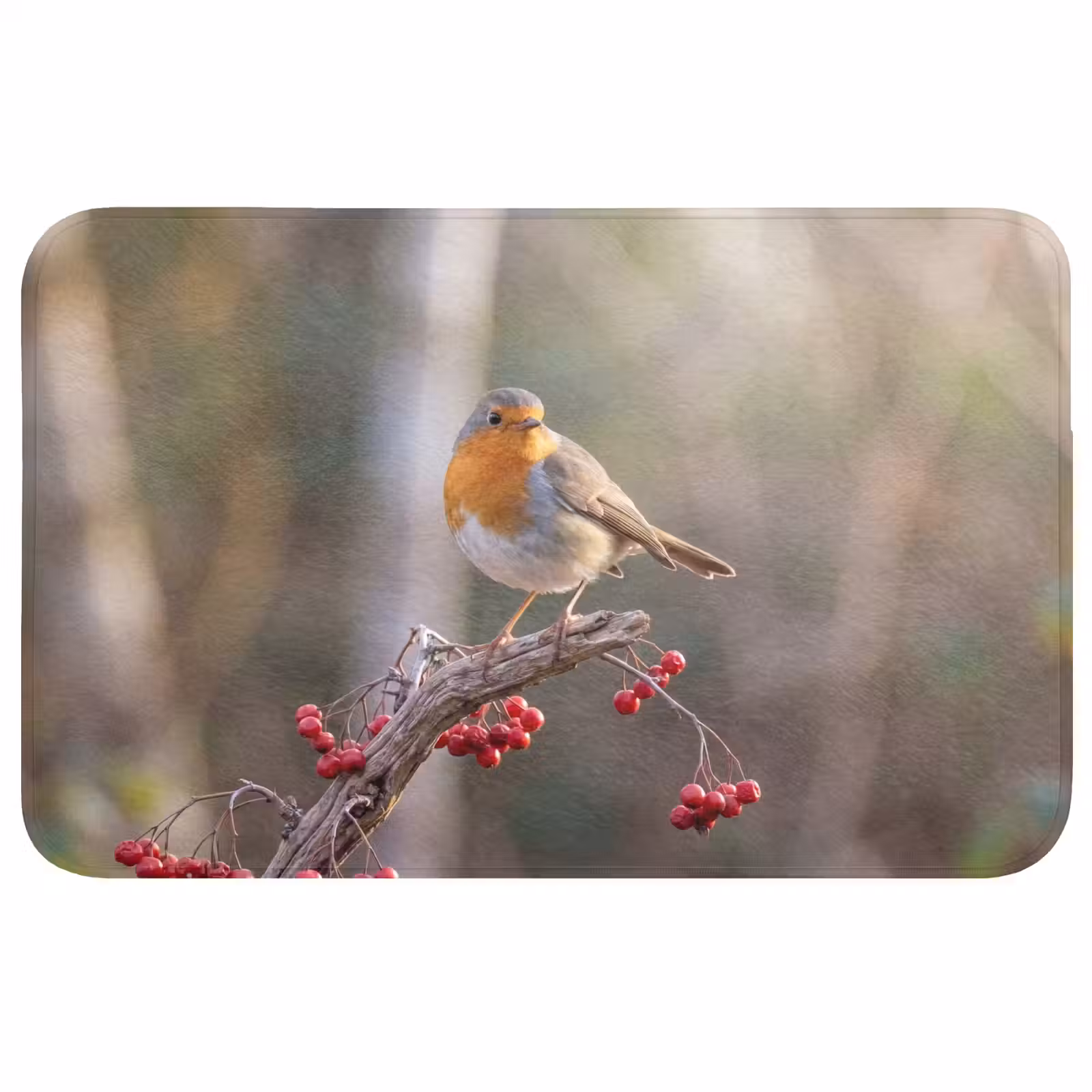 Badmat - Roodborst - Tak - Bessen - Natuur — 1
