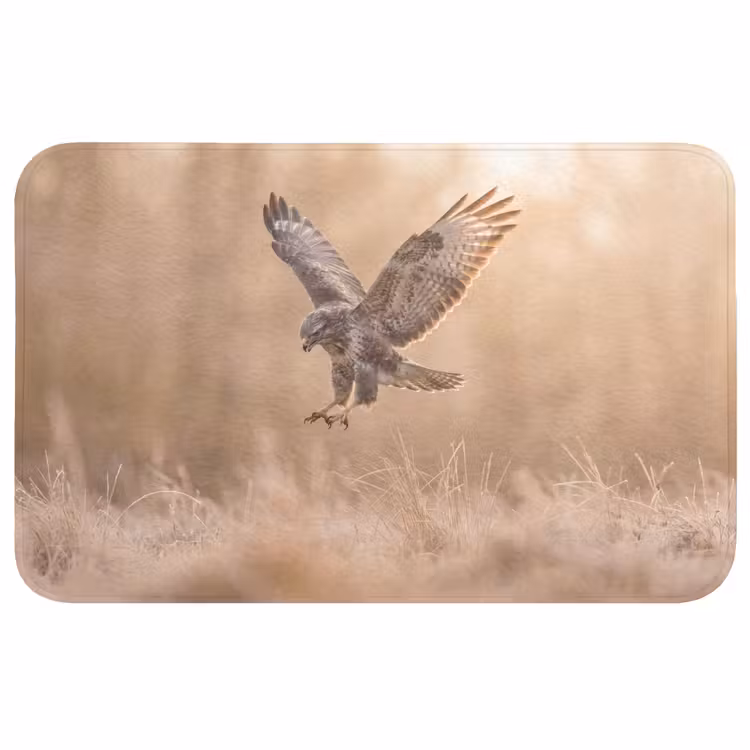 Badmat - Buizerd - Roofvogel - Natuur - Bruin — 1