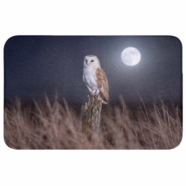 Badmat - Kerkuil - Maan - Nacht — 1