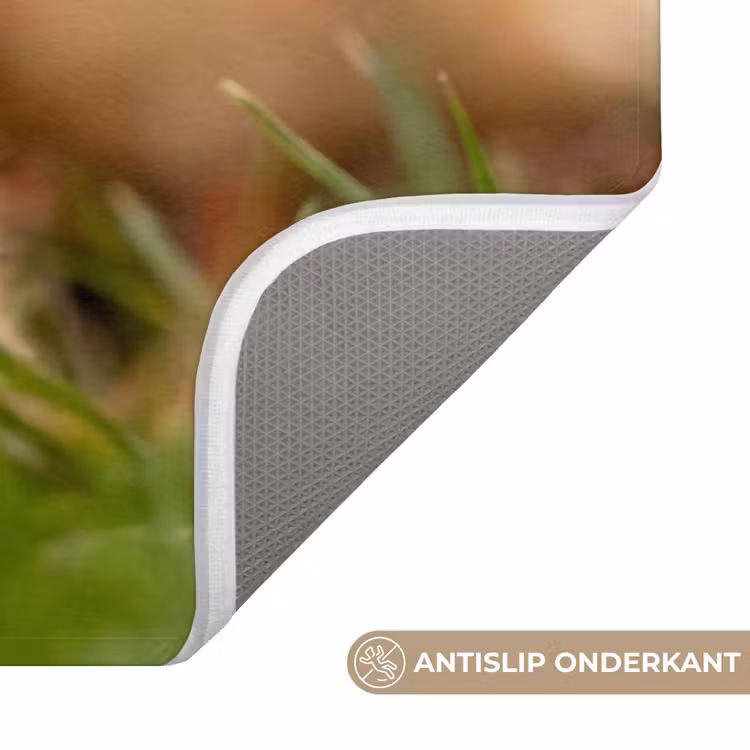 Badmat - Pijltje - Eend - Natuur - Geel — 3