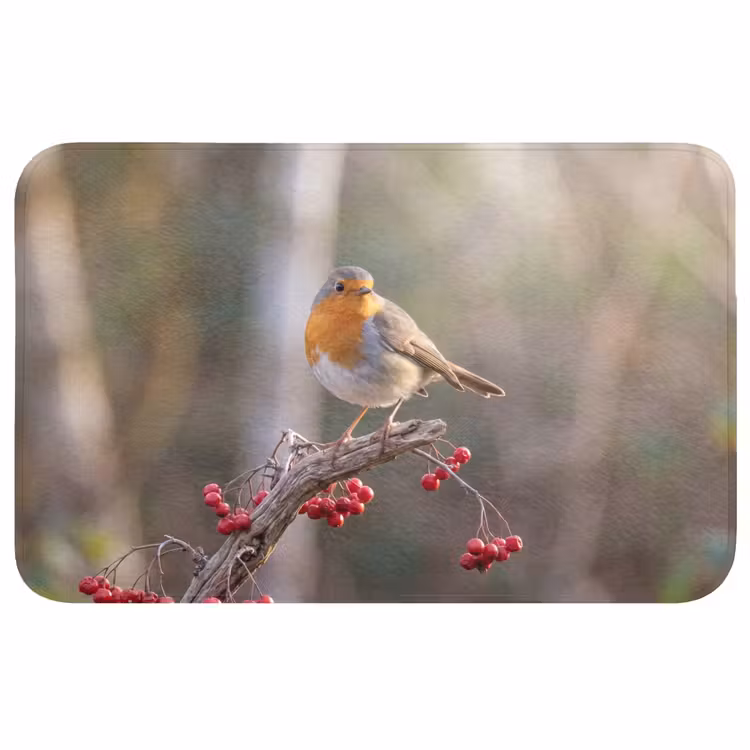 Badmat - Roodborst - Tak - Bessen - Natuur — 1