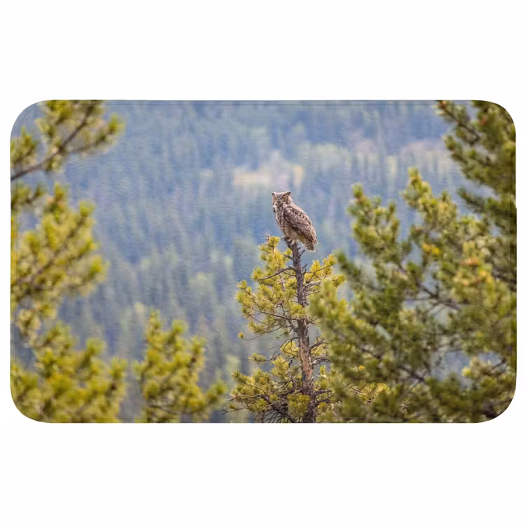 Badmat - Uil - Oehoe - Bomen - Natuur — 1