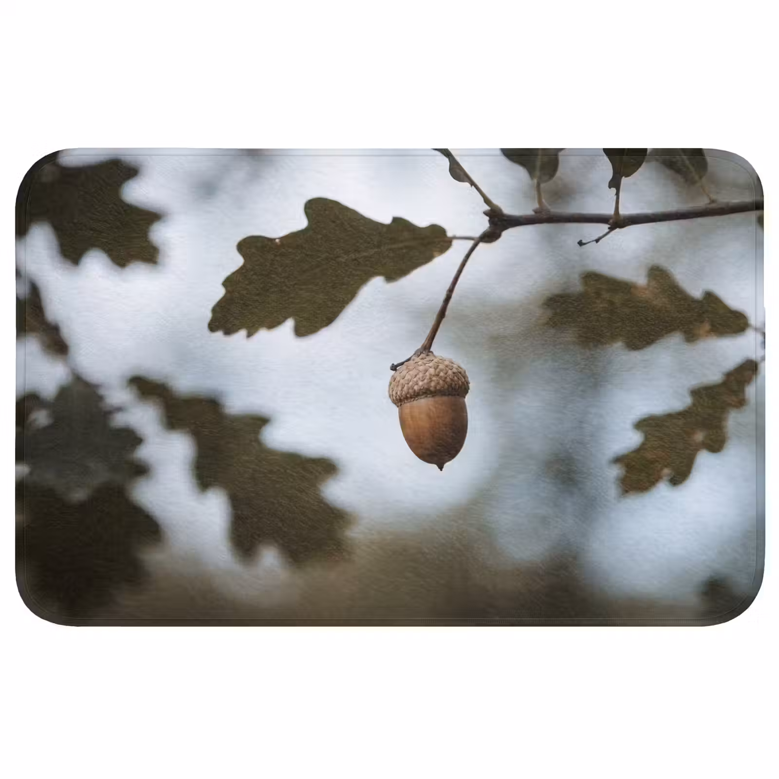 Badmat - Eikel - Eikenblad - Bos - Herfst - Natuur — 1