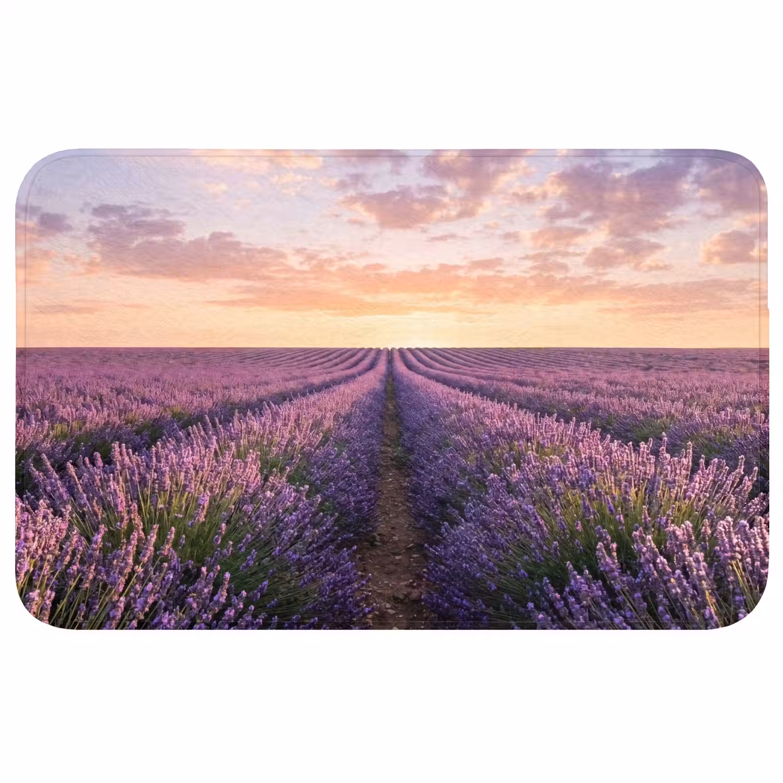 Badmat - Landschap - Lavendelveld - Paars — 1