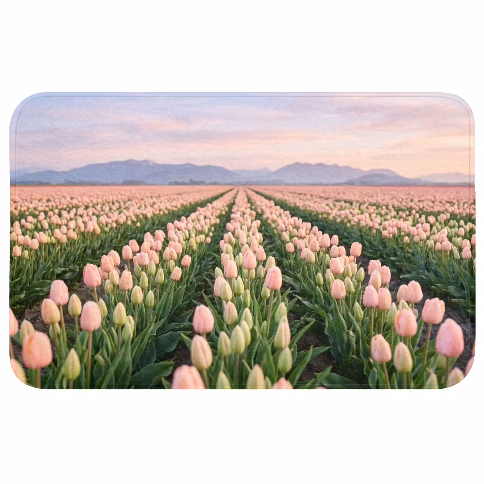 Badmat - Tulpen - Landschap - Roze — 1
